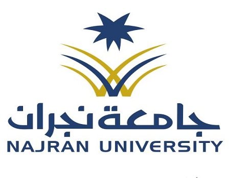 شريك نجاح